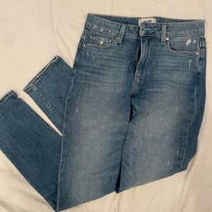 Paige Jean's Classic Cut